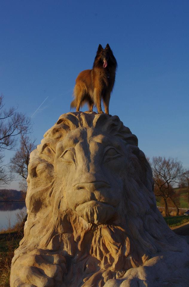 Na výletě se psem po sochách Michala Olšiaka